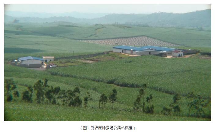 空气过滤器技术在良圻原种猪场的应用